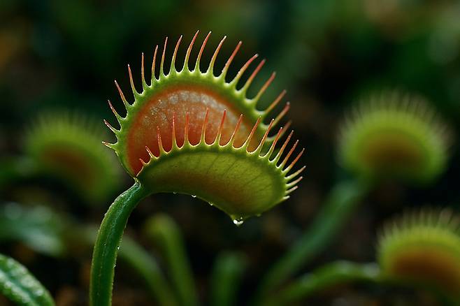 (AI로 이미지 생성)