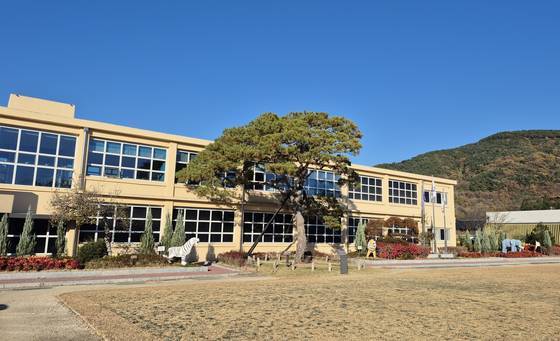 진주 지수초등학교. 교사 앞 소나무가 이병철·구인회·조홍제가 함께 심었다는 소나무다. [사진 김정탁]