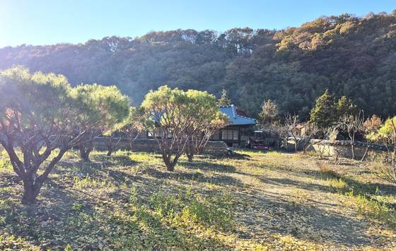 삼성 창업주 이병철 회장이 지수초교를 다닐 때 머물렀던 승산마을의 누나 집. 이병철 회장의 누나는 허씨 집에 시집 왔다. [사진 김정탁]