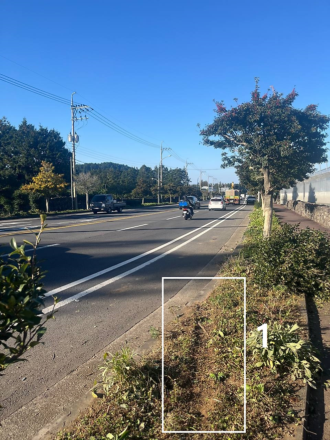 사고 현장 화단에 일자로 쭉 뻗어있는 차량 바퀴 자국이 보인다. 민노총 제공