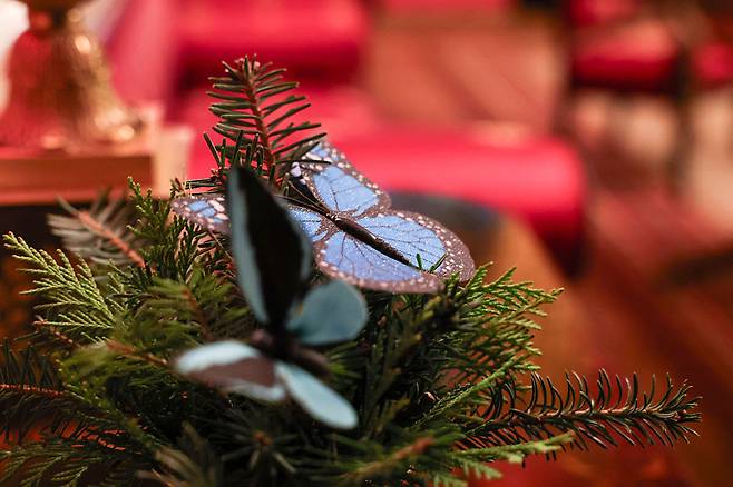 미국 워싱턴DC 백악관 레드룸의 크리스마스 트리에 걸린 블루 나비 장식[게티이미지]