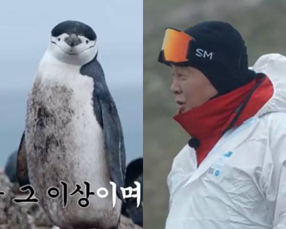 /사진=MBC '남극의 셰프' 방송 캡처