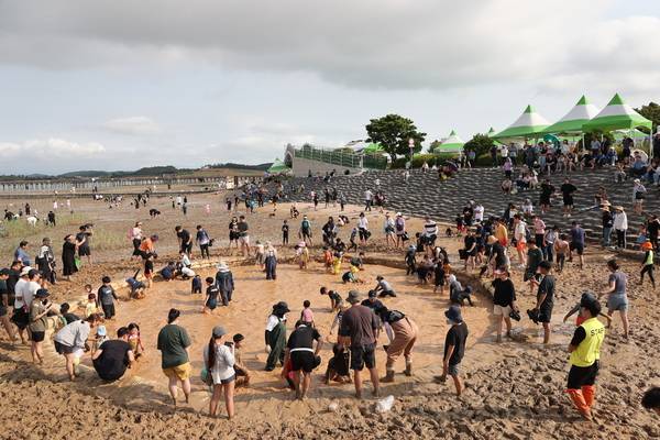 무안황토갯벌축제를 찾은 관광객들이 황토갯벌랜드에서 장어잡기체험을 하고 있다. /무안군 제공