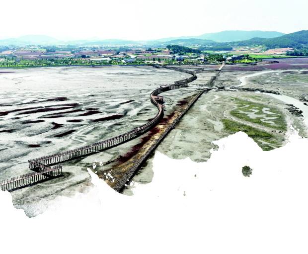 무안황토갯벌랜드는 청정갯벌 생태자원의 체계적인 보전 관리와 관광 자원화를 통한 지역경제 활성화에 이바지하고 있다. 최근 바다 위 다리를 걸으며 갯벌의 생태를 가까이서 체험할 수 있도록 국내에서 가장 긴 목재 해상 보행교를 설치했다.  
<무안군 제공>