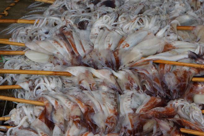 꼬치에 끼운 오징어