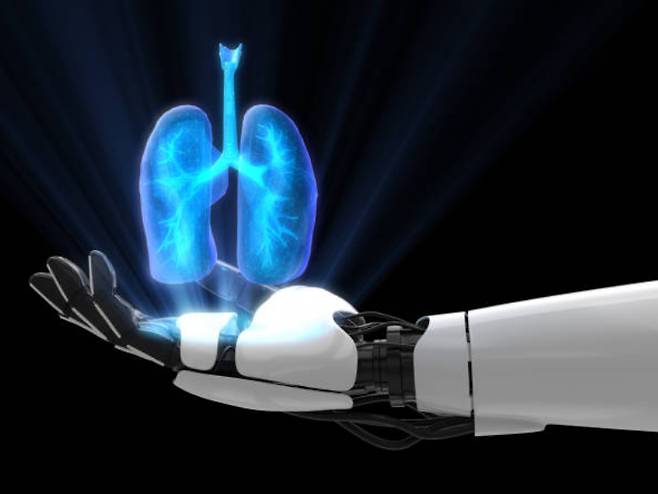 [사진=픽사베이]