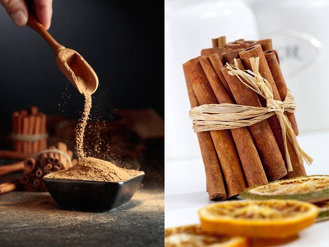 시나몬(왼쪽)과 계피 [123RF]