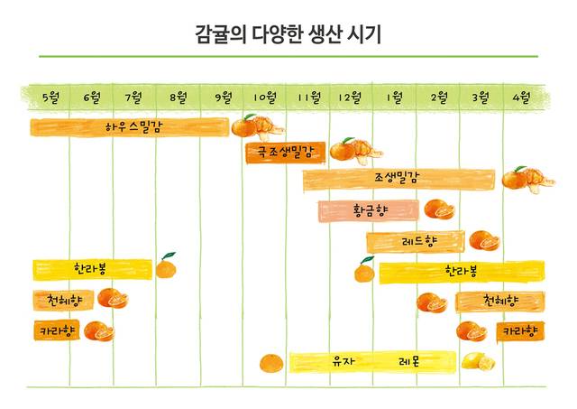 감귤의 다양한 생산 시기. 가을서부터 조생밀감이 나오고 겨울에는 만감류가 눈에 띈다. 농촌진흥청