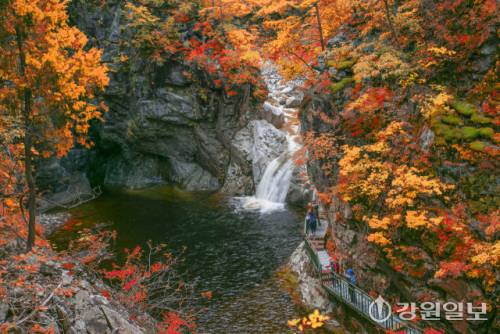 가곡 유황온천&스파 주변에는 꼭 찾아가봐야 할 명소가 즐비하다. 사진은 단풍이 곱게 물든 덕풍계곡.