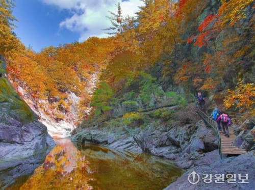 가곡 유황온천&스파 주변에는 꼭 찾아가봐야 할 명소가 즐비하다. 사진은 단풍이 물든 덕풍계곡 모습.
