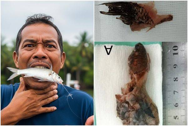 기사 이해를 돕기 위해 AI로 생성한 이미지(좌), 실제 입 속에 들어간 물고기. 사진=큐레우스