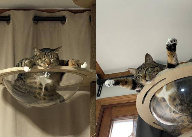 일하는 중인 겨널리스트, 여름이 왔다는 증거 보호자 제공