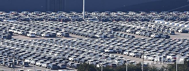 [평택=뉴시스] 지난 10월 경기 평택시 포승읍 평택항 자동차 전용부두에 선적을 기다리는 수출용 차량이 주차돼 있다. (사진=뉴시스DB)