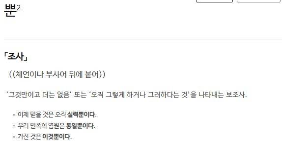 조사 '뿐'에 대한 사전의 정의 표준국어대사전 캡처