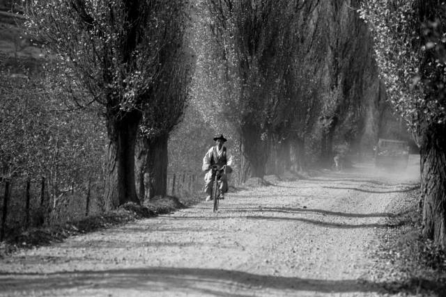 강위원, 1986, 청송군 현서면