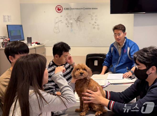 치 코리아가 반려동물 침치료 교육을 하고 있다(치 코리아 제공). ⓒ 뉴스1