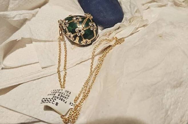 절도범이 삼킨 펜던트./뉴질랜드 경찰