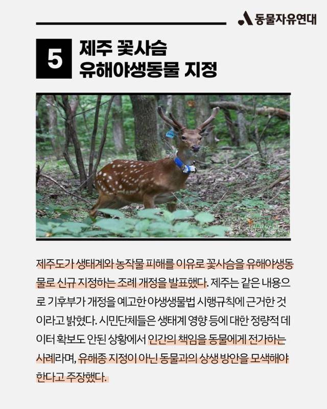 올해의 동물 뉴스. 동물자유연대 제공