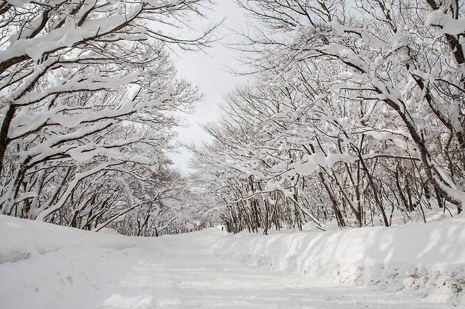 어리목 진입로.