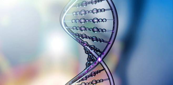 바이오니아 제공