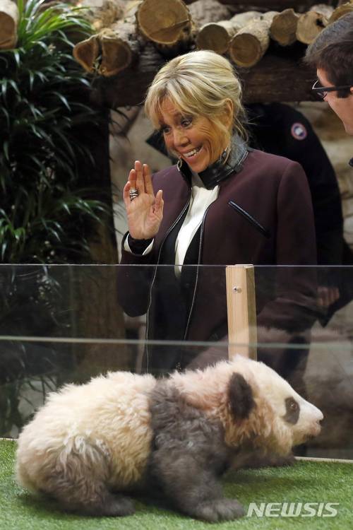 【생테냥쉬르셰르=AP/뉴시스】 ﻿﻿에마뉘엘 마크롱 프랑스 대통령이 중국을 국빈 방문 중인 가운데, 중국이 오는 2027년 프랑스에 암수컷 판다 한 쌍을 추가로 보낼 예정이라고 밝혔다. 사진은 에마뉘엘 마크롱 프랑스 대통령의 부인 브리지트 여사가 2017년 보발 동물원에서 생후 4개월 된 아기 판다를 향해 손을 흔드는 모습. 2025.12.05