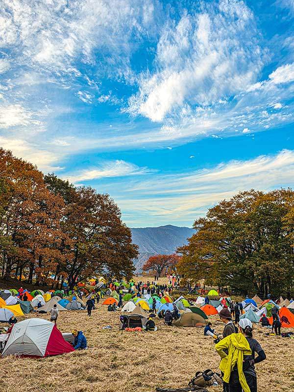 둘째날 야영장. 700여 동의 텐트가 들어섰다.