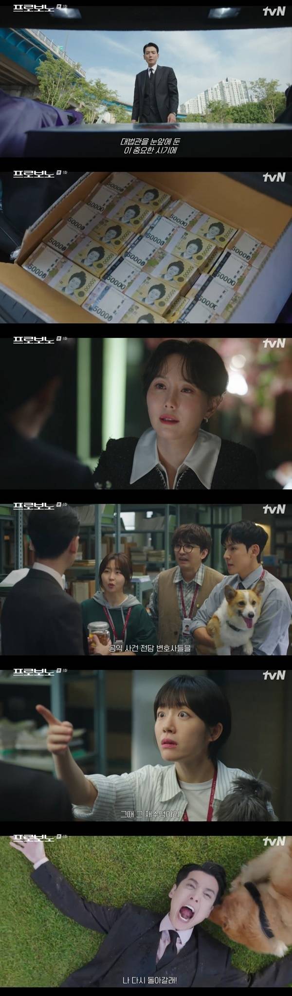 tvN 토일드라마 ‘프로보노’