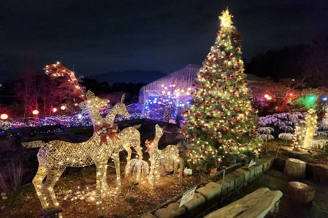 창원 진해보타닉뮤지엄. 2025.12.5. 경남도 제공