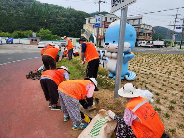 진주시가 내년 노인일자리 참여자를 모집한다. 사진은 공익활동사업 참여 어르신들이 진주시 진성면 삼거리 회전교차로에 꽃을 심고 있는 모습. / 진주시