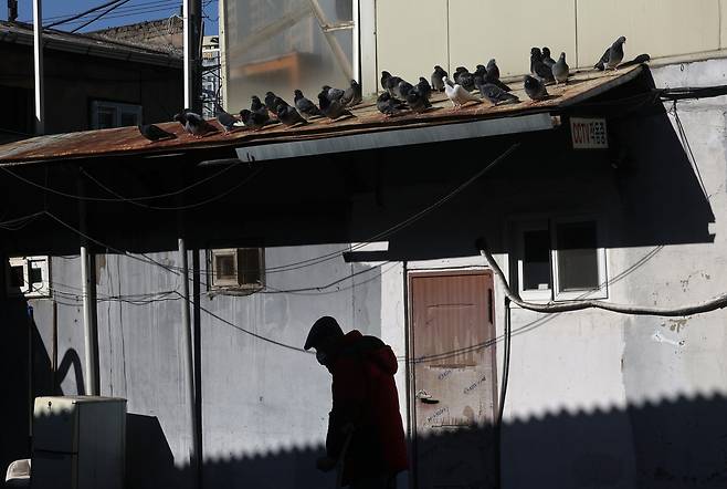 4일 서울 영등포구 영등포 쪽방촌에서 지붕 위 비둘기가 햇볕을 쬐고 있다. 사진은 기사 내용과 직접적인 관련 없음. /연합뉴스