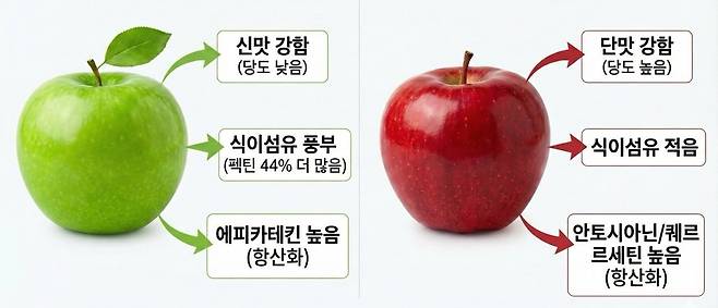 빨간 사과와 초록 사과의 영양학적 차이, 다만 품종에 따라 구체적인 수치는 달라질 수 있다｜출처: 하이닥