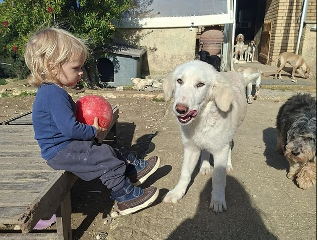 핏불에 물려 사망한 2살짜리 레온의 가족은 고양이, 개, 말 등 많은 애완 동물을 키웠다. [SNS 캡처]