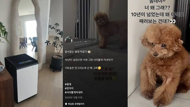 개그우먼 박나래 '주사이모' 이모씨가 샤이니 멤버 키와 연관된 사진과 영상을 SNS에 올린 것이 포착돼 논란이 되고 있다. 사진은 이씨가 자신의 인스타그램에 올린 키 집에서 찍은 것으로 추정되는 사진과 영상의 모습. /사진=이씨 인스타그램 캡처