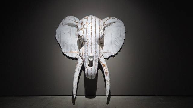 ▲ 전창환 作, 회색시대(코끼리), 2019-2020