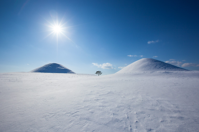 ▲ 경북 의성 금성면 조문국사적지에서 새하얀 적설이 덮인 고분 두 기가 한겨울 햇살 아래 고요한 실루엣을 드러내며 장대한 설원 풍경을 이루고 있다. 의성군