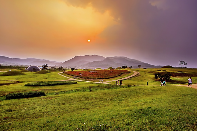 ▲ 경북 의성군 금성면 조문국사적지에서 노을빛이 들판을 물들이는 시간, 탐방객들이 구불구불한 산책로를 따라 걸으며 초록 언덕과 고분군이 겹친 풍경을 감상하고 있다. 의성군