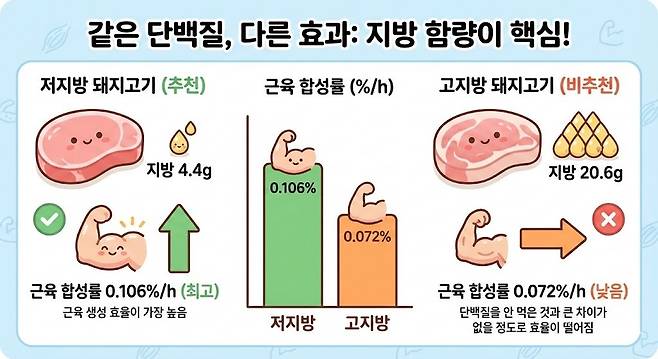 미국 일리노이대 연구팀의 임상 시험 결과 ｜출처: Gemini
