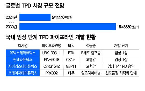 글로벌 TPD 시장 규모 전망, 국내 임상 단계 TPD 파이프라인 개발 현황/디자인=이지혜