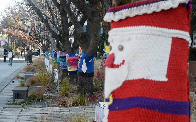 8일 전북 전주시 덕진구 백제대로 가로수에 트리허그(잠복소)가 설치된 모습./사진=뉴시스