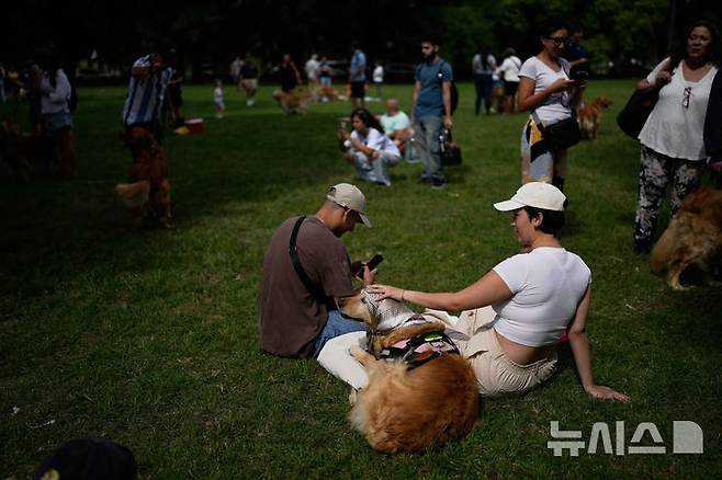 [부에노스아이레스=AP/뉴시스] 8일(현지 시간) 아르헨티나 부에노스아이레스 팔레르모 공원에서 열린 세계에서 가장 많은 골든 리트리버가 한자리에 모이는 세계 기록 도전 행사에 참가한 참가자들이 반려견과 즐거운 시간을 보내고 있다. 2025.12.09.