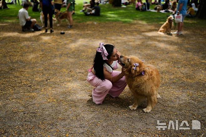 [부에노스아이레스=AP/뉴시스] 8일(현지 시간) 아르헨티나 부에노스아이레스 팔레르모 공원에서 열린 세계에서 가장 많은 골든 리트리버가 한자리에 모이는 세계 기록 도전 행사에 참가한 참가자들이 반려견과 즐거운 시간을 보내고 있다. 2025.12.09.