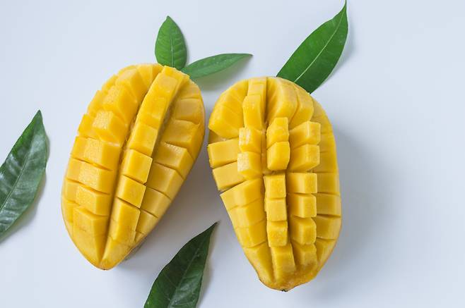 망고는 혈당 지수가 약 51로 중간 정도로 분류되지만 식이 섬유와 비타민, 미네랄 등 각종 영양소가 풍부해 적당히 섭취하면 혈당 조절에 도움이 되는 것으로 나타났다. 사진=게티이미지뱅크