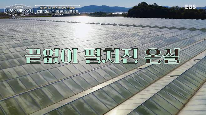 10일 방송되는 EBS '서장훈의 이웃집 백만장자'에는 토마토 하나로 기업 가치 1,000억 원을 달성하고 농업계 최초 코스닥 상장에 성공한 김호연이 출연한다. 방송에서는 축구장 20개 크기인 5만 평 규모의 국내 최대 스마트팜이 최초로 공개된다. 김호연은 네덜란드 연수에서 영감을 받아 첨단 농업 기술을 정착시킨 사연을 밝힌다. 또한 서장훈과 장예원의 폭소 유발 토마토 수확 대결과 김호연의 편애 논란도 전파를 탄다. 방송시간은 12월 10일 수요일 밤 9시 55분이다.