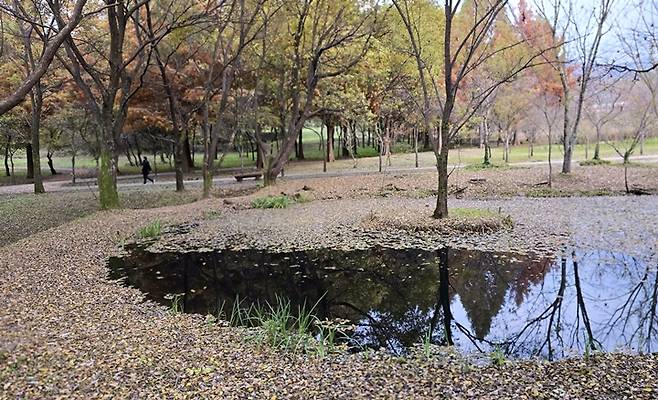 국내에 이렇게 조용하고 아름다운 자연이 있었다는 사실도 새삼 행복하다.