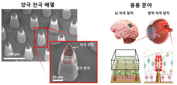 보다 선명한 인공 망막이 나올 것으로 기대된다. [사진=한국연구재단]