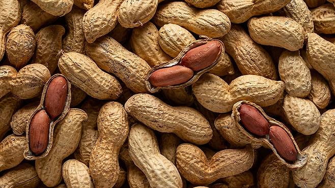 껍질째 구운 땅콩, 인지 기능 개선에 효과 있어｜출처: 클립아트코리아