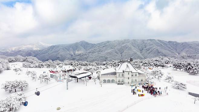비발디파크 '스노위랜드'