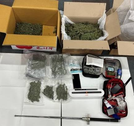 경찰이 피의자 B씨에게서 압수한 대마. 사진 서울경찰청