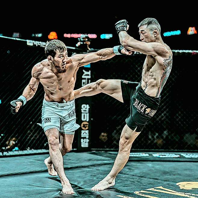 Road to UFC 시즌4 라이트급 쇼케이스 출전이 무산된 ‘울프킹’ 아딜레트 누르마토프가 2025년 8월 인천광역시 영종국제도시 인스파이어 아레나 페더급 메인이벤트에서 제3대 블랙컴뱃 밴텀급 챔피언 ‘투신’ 김재웅을 상대하고 있다. 사진=이데아 파라곤