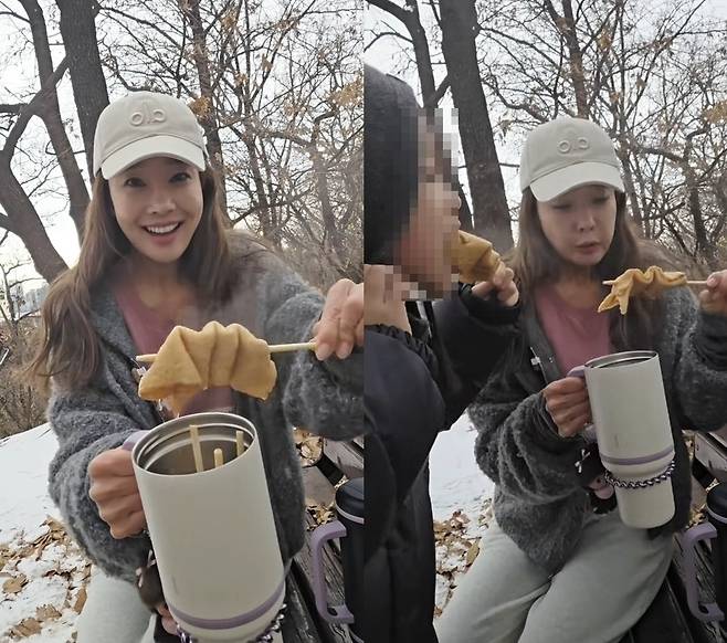 소유진 소셜네트워크서비스 계정
